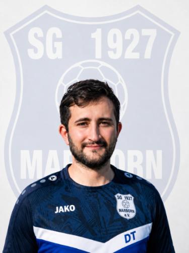 Domenico Taibi