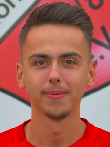 Arnes Alihodzic