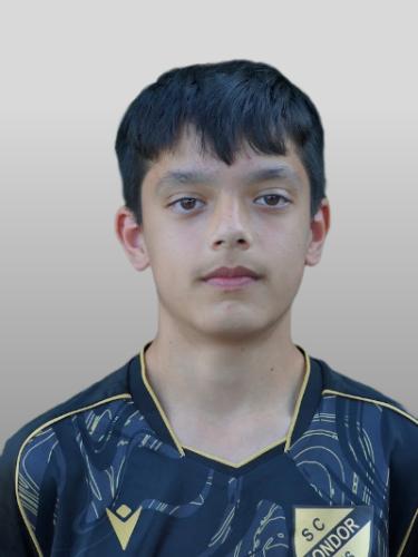 Ali Abbas Sarwari