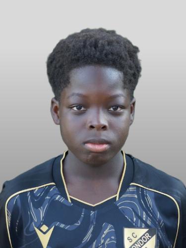 Wesley Teye Boateng