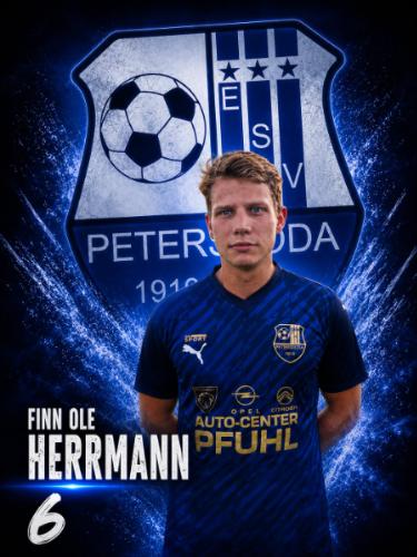 Finn Ole Herrmann