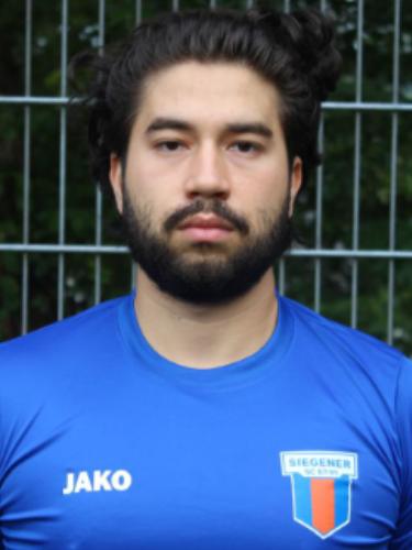 Alexandru Irinel Saceanu