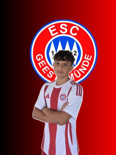 Alen Jasarovic