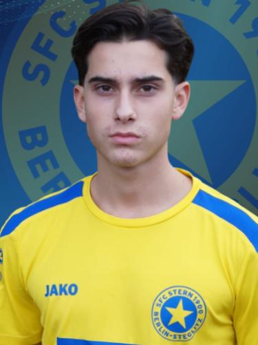 Mehmet Capoglu