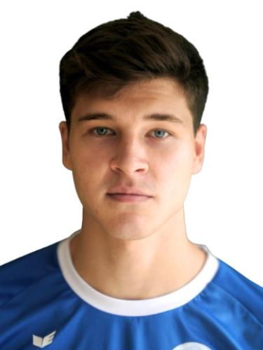 Leo Wemhoener