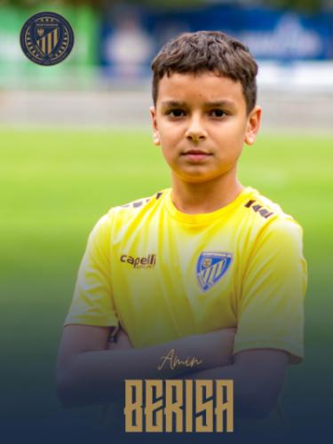 Amin Berisa