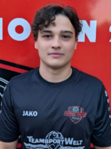 Nikita Vital'evic Zlatnikov