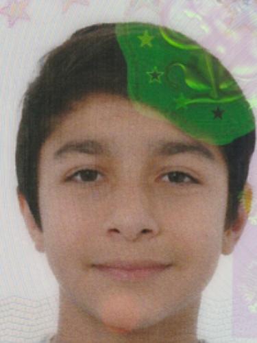 Eltaf AMINI