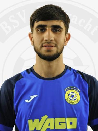 Mohammad Ehsan Shirzad