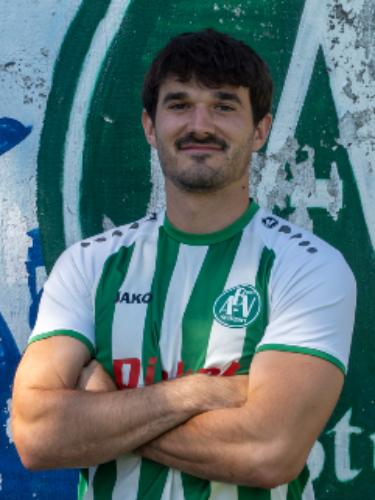 Frieder Ströbele