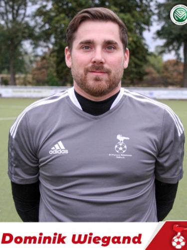 Dominik Wiegand
