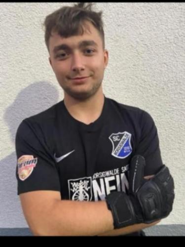 Dominik Sippel