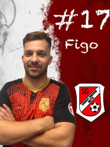Anton Ficker