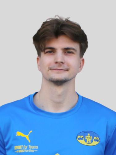 Julien Mehlow