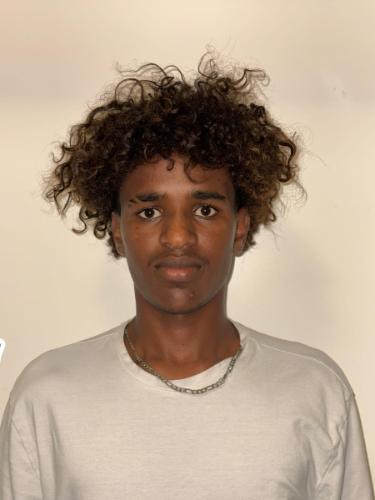 Abdelmajid Jamal Ahmed