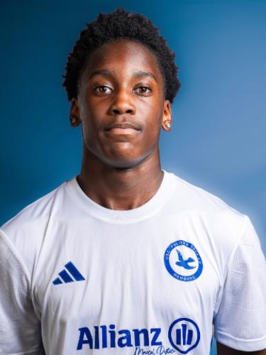 Collins Agyemang Junior Nimako