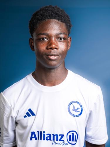 Dennis Nketia