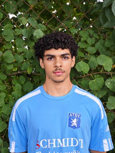 Ali Hamed
