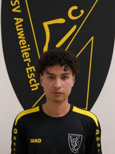 Duy Khiem Mahmoudvand