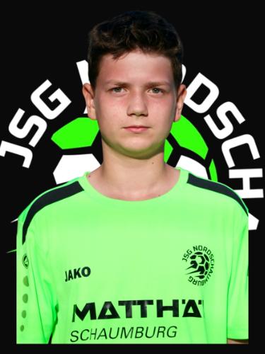Jan Dominik Wiesiolowski