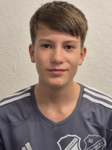 Roman Hornbogen