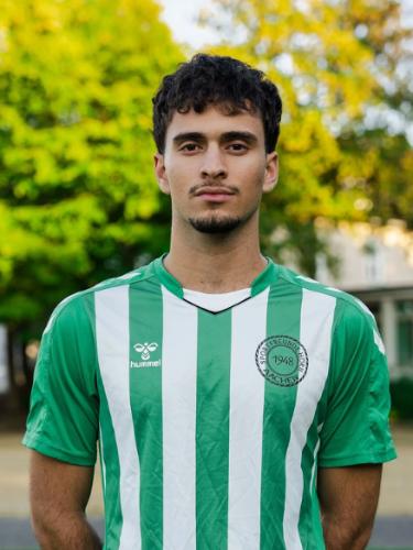 Ali Ismail Mohamed Aly Elgendy