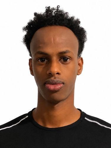 Ahmad Elmi