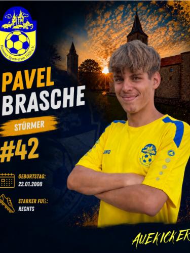 Pavel Brasche
