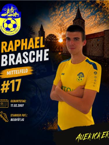 Raphael Luca Brasche