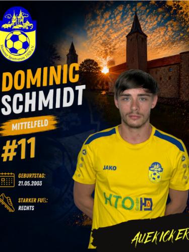 Justin Dominic Schmidt