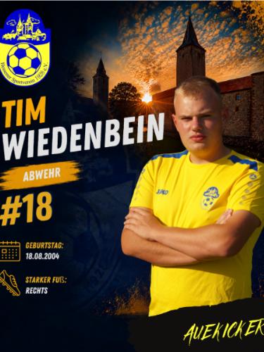 Tim-Luca Wiedenbein