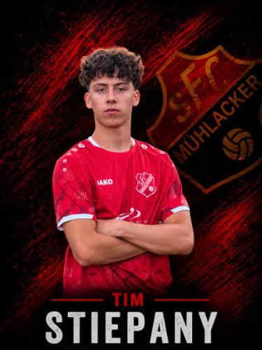 Tim Stiepany