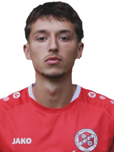 Leon Radanovic