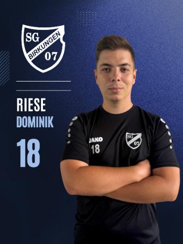 Dominik Riese