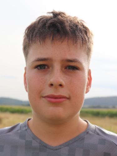 Mattis Heise