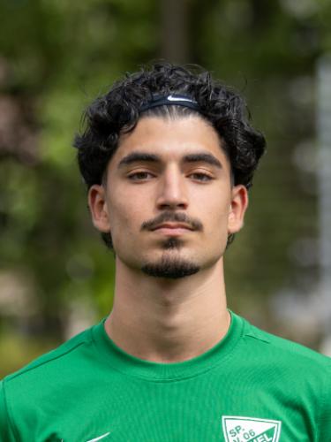 Shahin Kamaliha