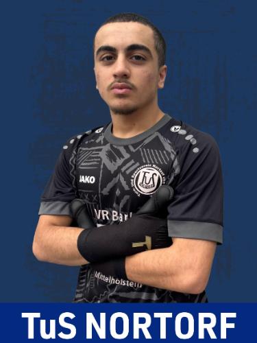 Mohamad Aljashi