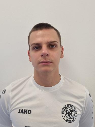 Alexander Gajvoronskij