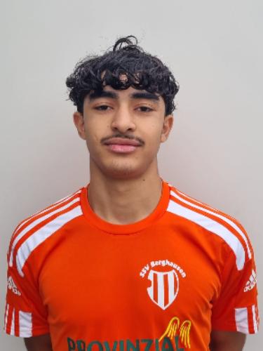 Mohamad Alsulaiman