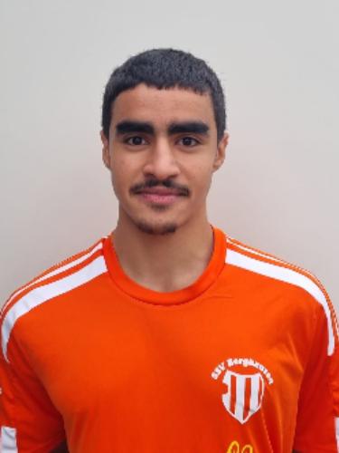 Ramadan Alsulaiman