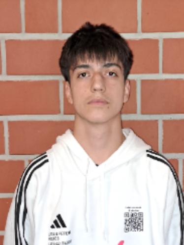 Mario-Catalin Udrea