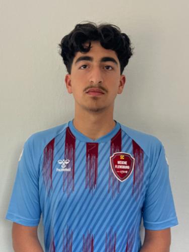 Malik Ismail