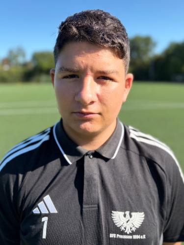 Diego Armando Hajrovic
