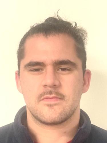 Mario Dragusica