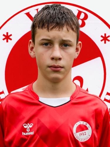 Theo Hermann