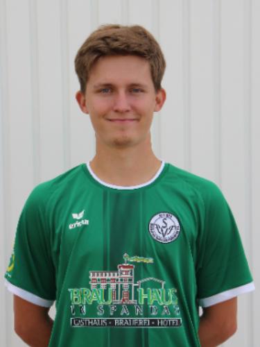 Domenic Valentin Walla
