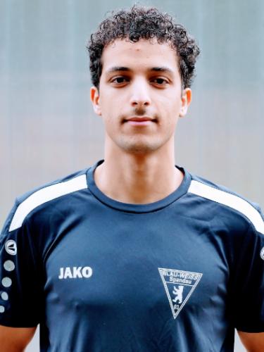 Ayham Nagib Mohammed Aqlan Alselwi