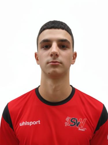 Milan Mandic