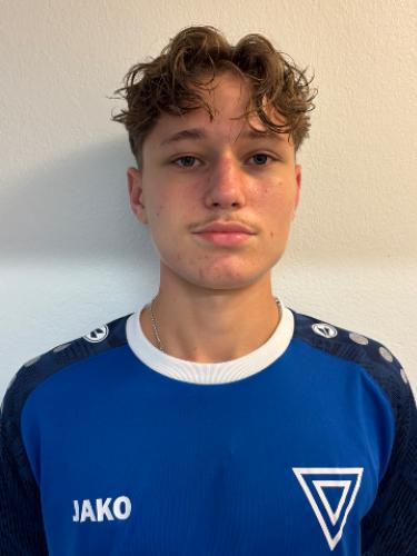 Vilho Johannes Ehrich
