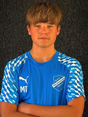 Milan Theobald